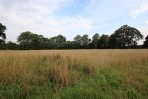 Photo 20- click for photo gallery